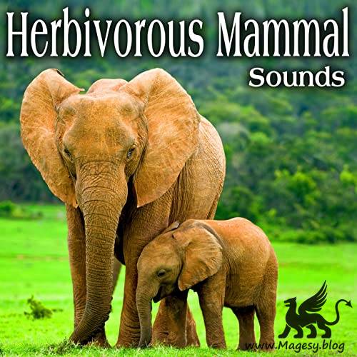 Herbivorous Mammal Sounds FLAC