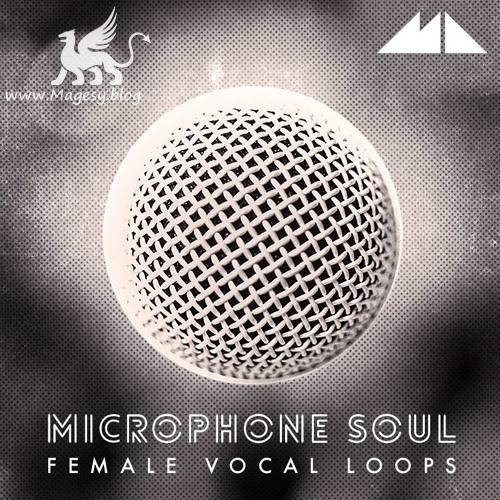 Microphone Soul WAV-DiSCOVER