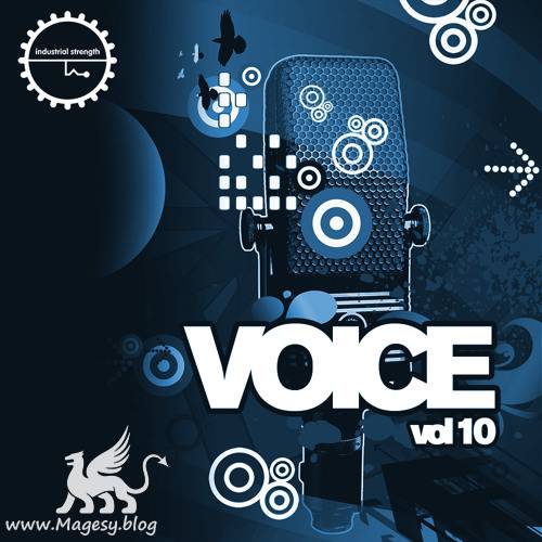 Voice Vol.10 WAV