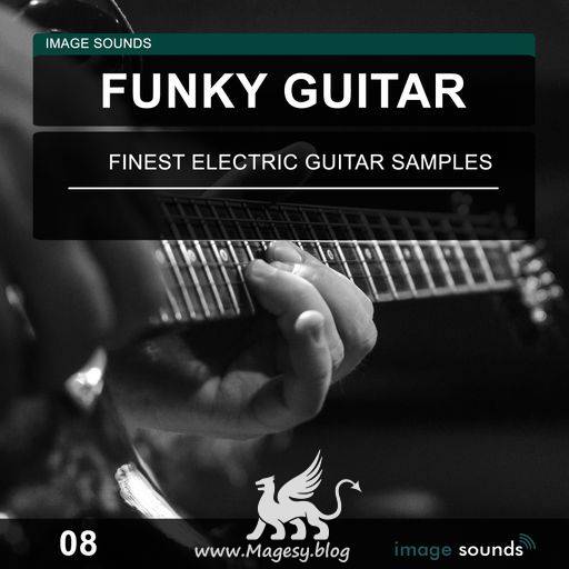 Funky Guitar 08 WAV