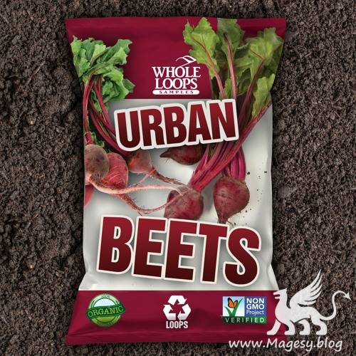 Urban Beets 1 WAV KONTAKT-FLARE