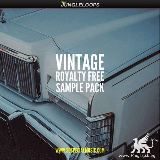 Vintage Sample Pack WAV-DiSCOVER