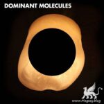 Dominant Molecules WAV FANTASTiC | 08 August 2020 | 379 MB Brooding,...