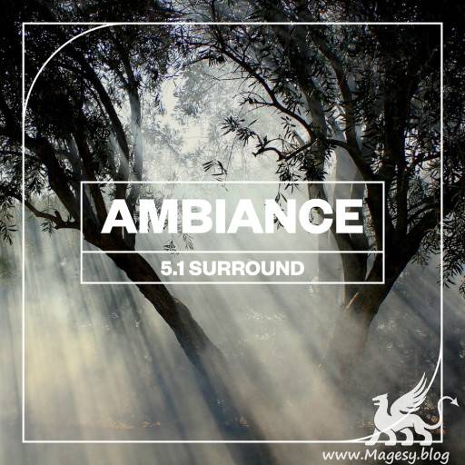 FX Ambiance 5.1 Surround WAV