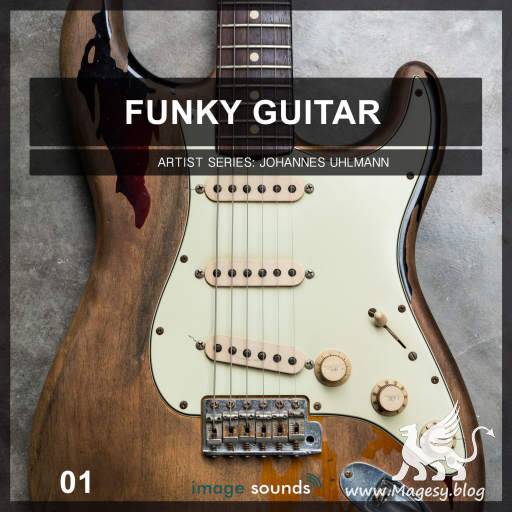 Funky Guitar 01 WAV-DiSCOVER