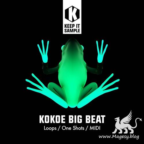 Kokoe Big Beat WAV MiDi