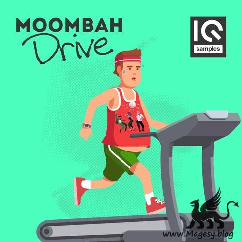 Moombah Drive WAV