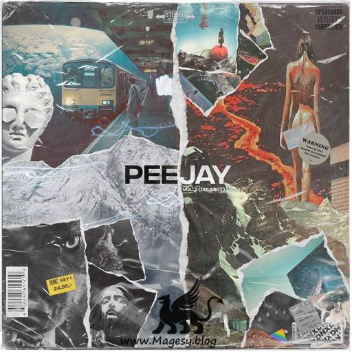 PeeJay Vol.2 Drum Kit WAV