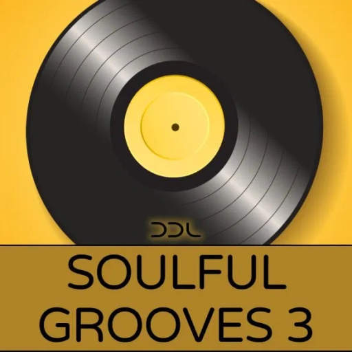 Soulful Grooves 3 WAV MiDi-DiSCOVER