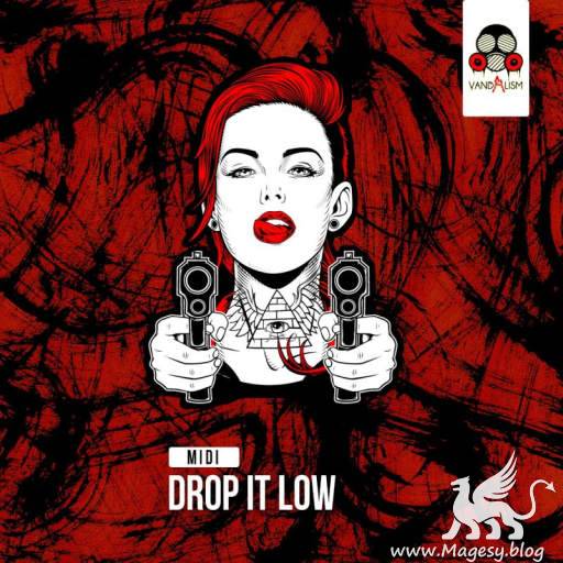 Drop It Low MiDi-DiSCOVER