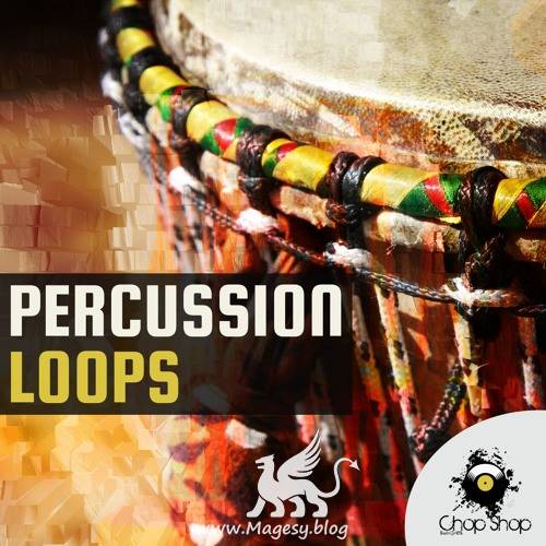 Percussion Loops WAV-DECiBEL