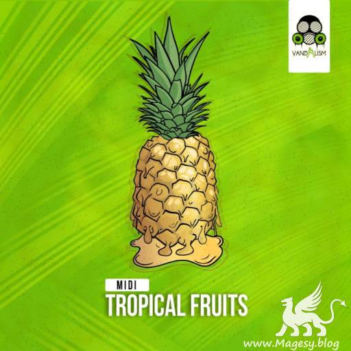 Tropical Fruits MiDi-DiSCOVER