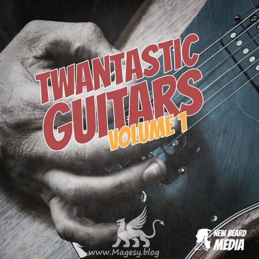 Twantastic Guitar Vol.1 WAV