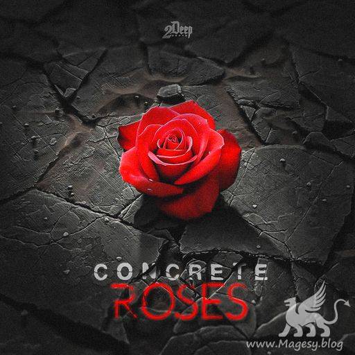 Concrete Roses WAV MiDi-DiSCOVER