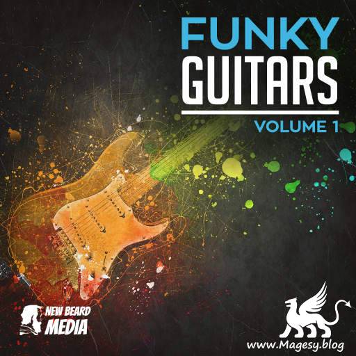 Funky Guitars Vol.1 WAV