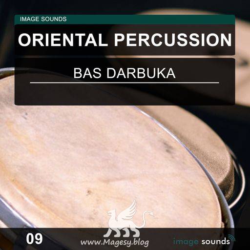 Oriental Percussion Vols.1-17 WAV