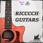 Ricccch Guitars WAV-FLARE