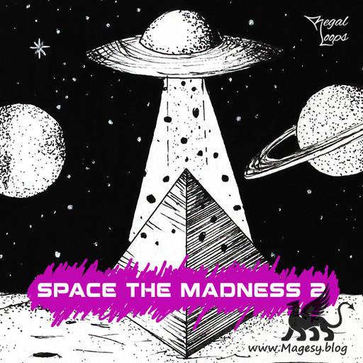 Space The Madness 2 WAV-FLARE