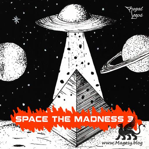 Space The Madness 3 WAV-FLARE