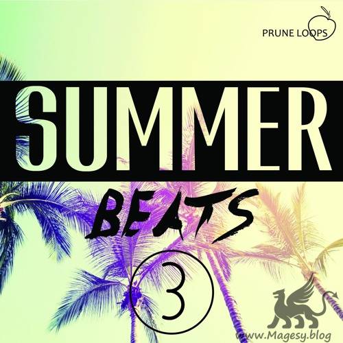 Summer Beats Vol.3 WAV MiDi-DECiBEL