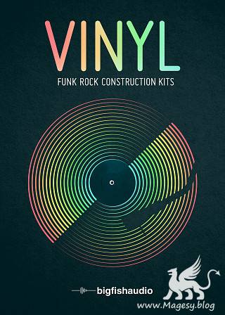 ViNYL Funk Rock MULTiFORMAT