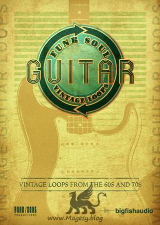 Vintage Guitar Loops MULTiFORMAT