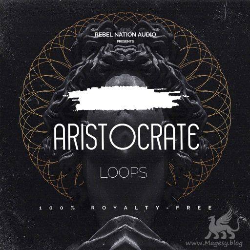 Aristocrate Loops SAMPLES WAV-DiSCOVER