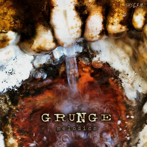 Grunge Melodics WAV-DiSCOVER
