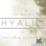 Hyalus for PiGMENTS Team DECiBEL | 04 November 2020 | 1.2 MB...
