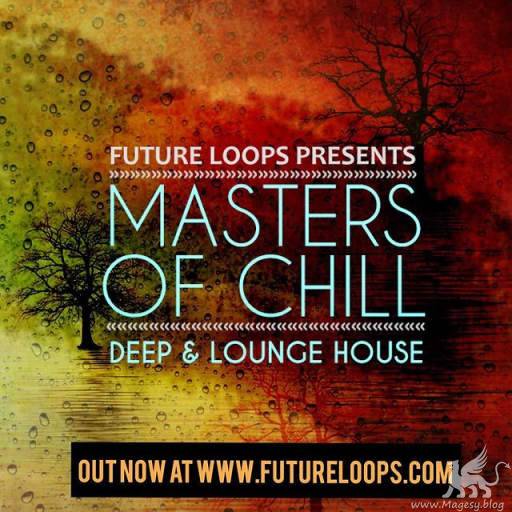 Masters Of Chill SAMPLES WAV-DECiBEL