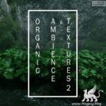 Organic Ambience & Textures 2 DiSCOVER | 01/November/2020 | 5.03 GB Globetrotting...