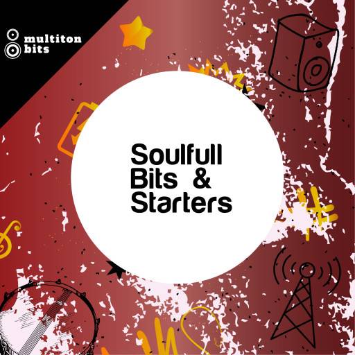 Soulful Bits And Starters WAV