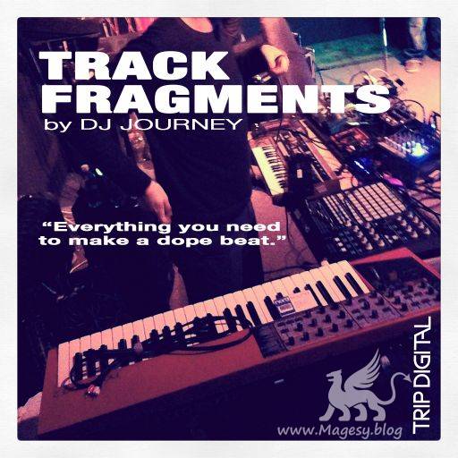 Track Fragments WAV