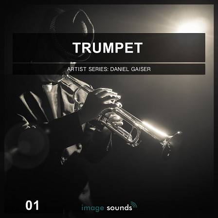 Trumpet: Artist Series Vol.1 WAV