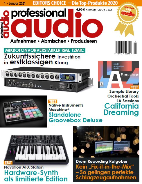 Professional Audio Januar 2021 PDF