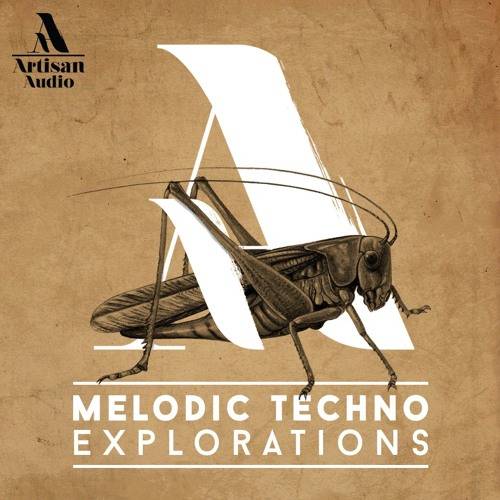 Melodic Techno Explorations MULTiFORMAT