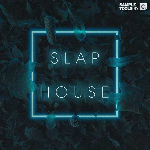 Slap House WAV MiDi
