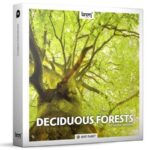 Deciduous Forests Sound Effects WAV