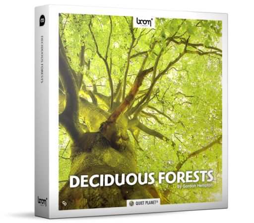 Deciduous Forests Sound Effects WAV