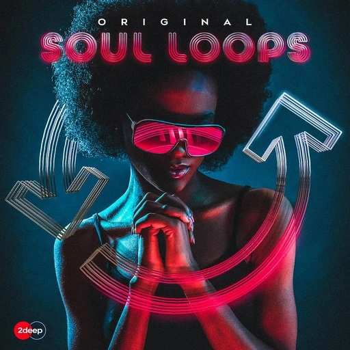 Original Soul Loops WAV-DiSCOVER