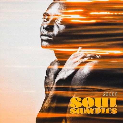 Soul Samples WAV-DiSCOVER