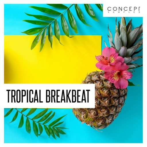 Tropical Breakbeat WAV-DECiBEL