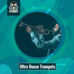 Ultra House Trumpets Team DECiBEL | 05 Mar 2021 | 87.5MB 'Ultra...