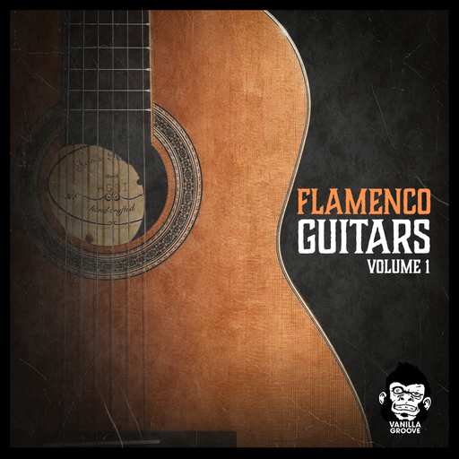 Flamenco Guitars Vol.1 WAV