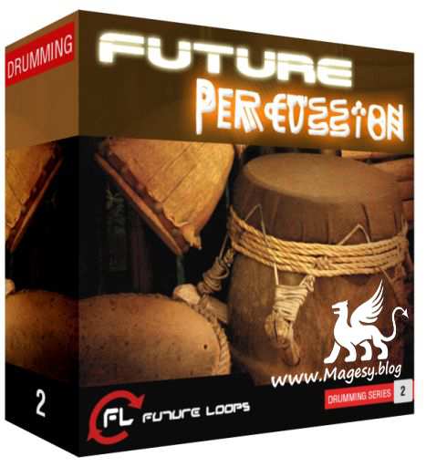 Future Percussion WAV REX-DECiBEL