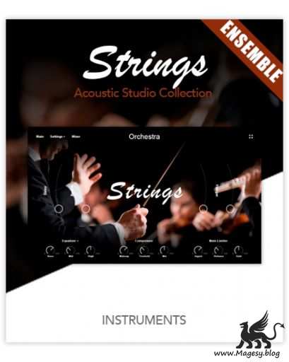 Muze Strings Ensemble KONTAKT