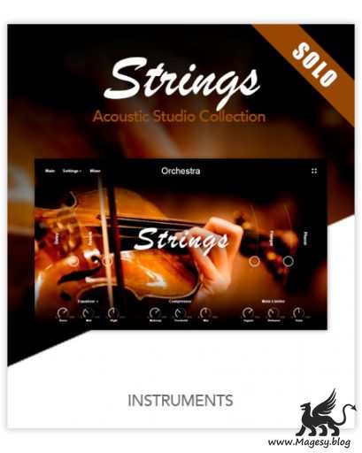 Muze Strings Solo KONTAKT