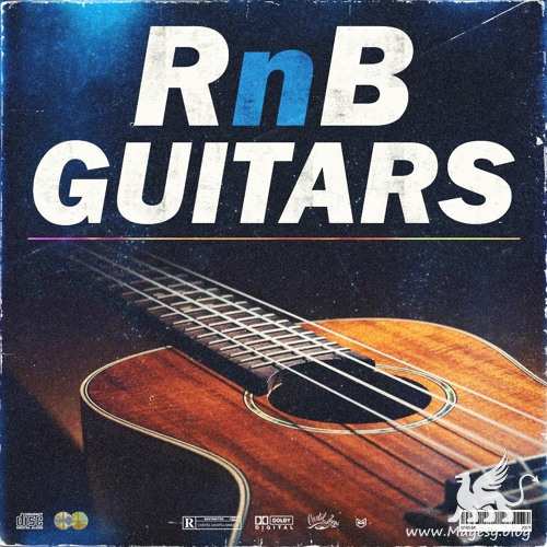 RnB Guitars WAV-DECiBEL