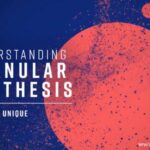 Understanding Granular Synthesis TUTORiAL-SYNTHiC4TE