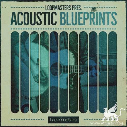 Acoustic Blueprints WAV REX-FANTASTiC